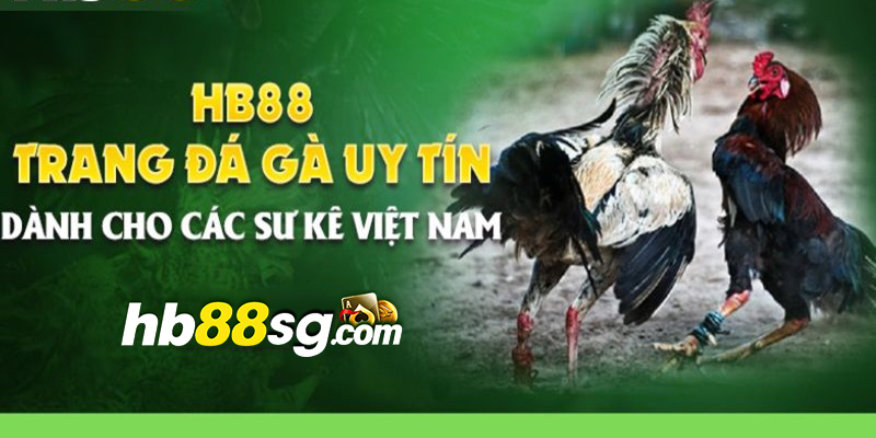 HB88 là thương hiệu đá gà nổi tiếng về sự uy tín và hợp pháp