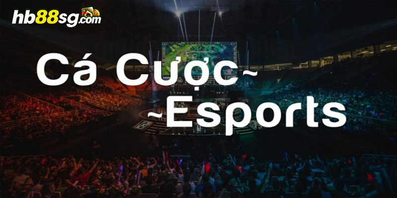 Những ưu điểm hấp dẫn khi cá cược Esport HB88