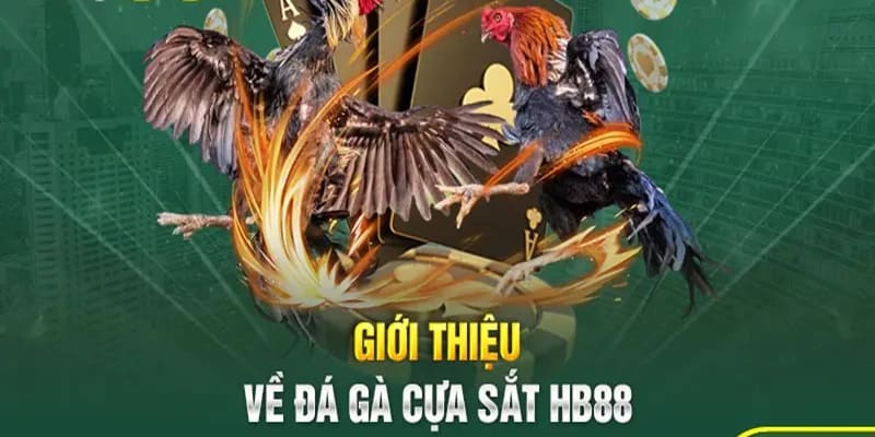 Đá gà cựa sắt là hình thức chọi gà phổ biến nhất tại HB88