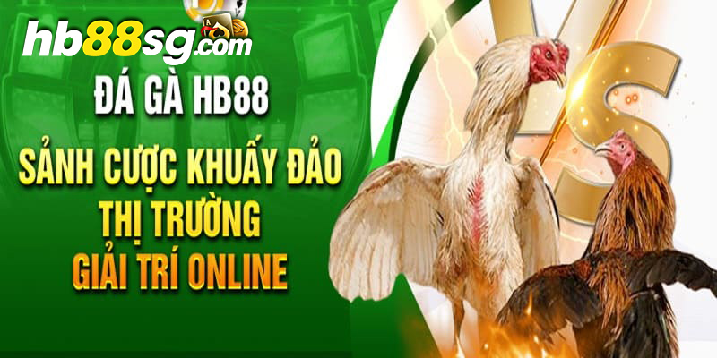 Giới thiệu sảnh game đá gà HB88