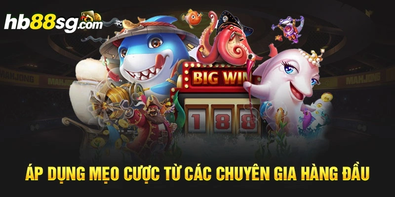 Áp dụng mẹo cược từ các chuyên gia hàng đầu