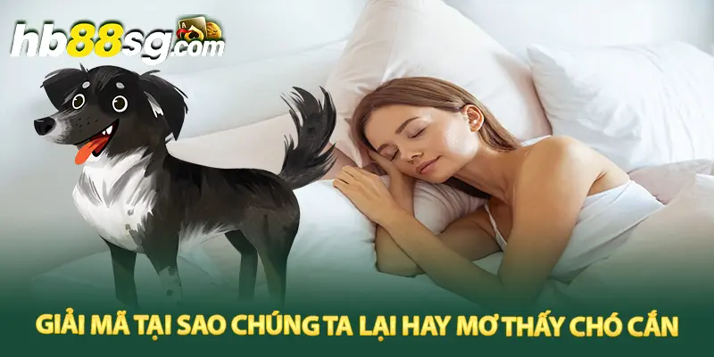 Giải mã tại sao chúng ta lại hay mơ thấy chó cắn