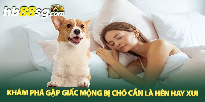 Khám phá gặp giấc mộng bị chó cắn là hên hay xui