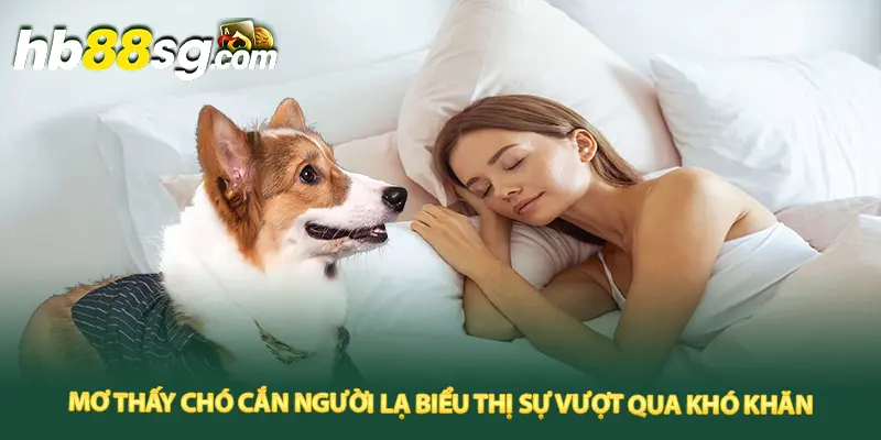 Mơ thấy chó cắn người lạ biểu thị sự vượt qua khó khăn