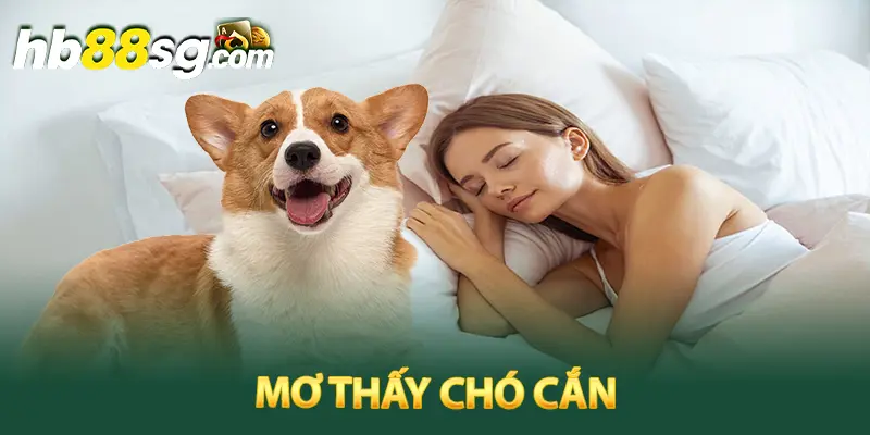 mơ thấy chó cắn đánh con gì