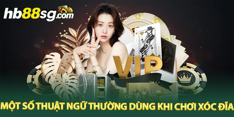 Một số thuật ngữ thường dùng khi chơi xóc đĩa