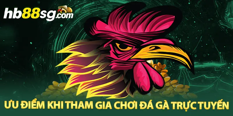 Tham gia chọi gà live mang đến cược thủ đa dạng các ưu điểm khác nhau